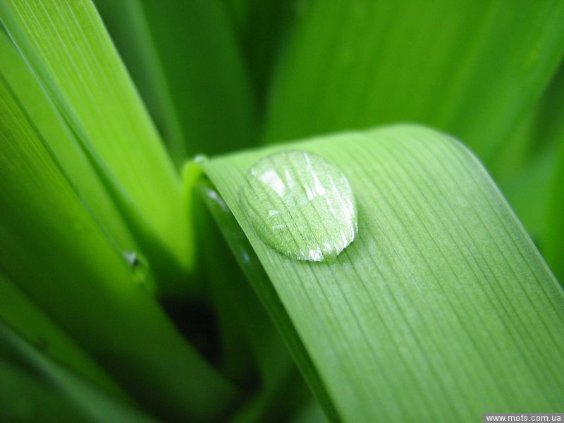 фото 7