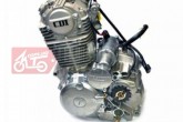 Двигун в зборі 4T CB250 (167MM) EVO